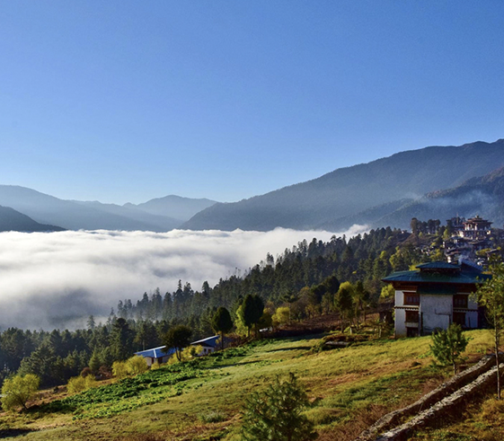 Drive to Gangtey Valley (2,900m/9,510 ft)